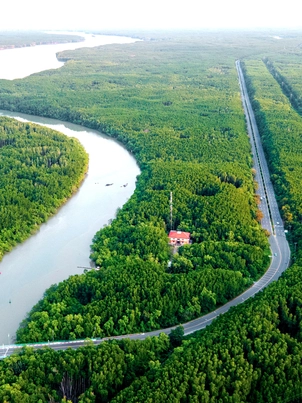 TP.HCM vươn tới đại dương