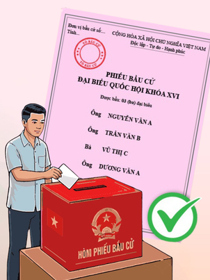 Bầu cử Quốc hội và HĐND: Những phiếu bầu cử nào là phiếu không hợp lệ?