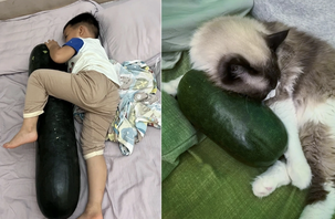 Có một trend lạ lắm: Ôm bí đao... đi ngủ!!!