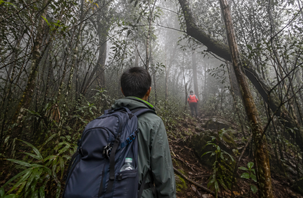 Vì sao hay nói người thất lạc khi leo núi, đi rừng 'bị dẫn'?