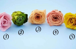 Quiz: Bạn đối diện với áp lực như thế nào?