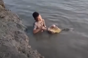 Thực hư clip cậu bé đánh răng cho cá sấu đang viral