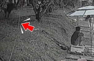 Cần thủ rơi xuống hồ vì bị... 'Lamborghini' dí