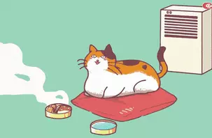 Những lợi ích khi nuôi mèo