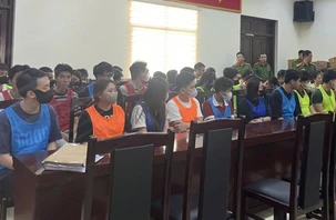 Dân mạng vui quá khi những người lừa đảo hợp đồng kỳ nghỉ bị khởi tố