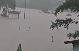 Có thật 'quái vật hồ Loch Ness' xuất hiện trong lũ ở Trung Quốc?