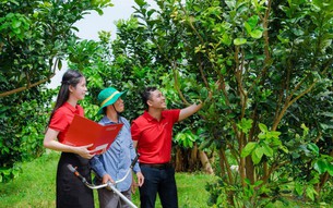 Agribank - Doanh nghiệp ESG Việt Nam xanh 2025
