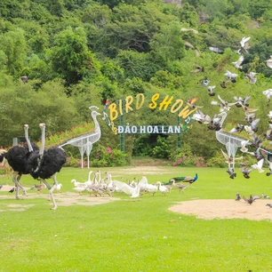 Đảo Hoa Lan – vịnh Nha Phu