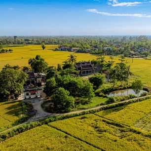 Ngắm cánh đồng lúa vàng ươm thơ mộng ở Xuân Tùy, TP Huế từ trên cao