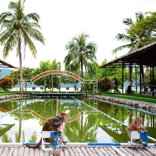 Đảo Khỉ – vịnh Nha Phu