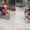 Người đàn ông buôn chó bị chó rượt chạy trối chết