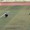 Cầu thủ lấy đà từ giữa sân sút penalty vẫn không vào