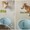 Corgi bỏ chạy vào chuồng đóng cửa khi sen hỏi tội xé giấy