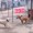 Chú chó co giò bỏ chạy vì chọc nhầm đối thủ pitbull
