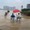 Đôi bạn được dân mạng photoshop có ảnh 'sống ảo' cả năm
