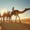 Những điều kỳ thú ở Abu Dhabi