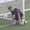 Video thủ môn U21 Anh thành trò cười với pha bắt hụt bóng tệ hại