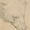 Phác họa đầu gấu của Leonardo da Vinci dự kiến bán 16 triệu USD