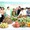 Chủ động đầu ra cho sản phẩm nhãn