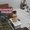 Bố đi nhậu, mẹ liền bày kế cho con gái quỳ trước camera gọi về