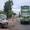 Chủ tịch tỉnh Bình Định quay video xe chở dăm gỗ rơi vãi,   yêu cầu giám đốc sở xử lý