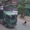 Chàng trai sang đường ẩu liên tục cúi gập người xin lỗi tài xế