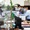 Phó thủ tướng Nguyễn Hòa Bình chỉ đạo hoàn thành đánh giá xếp loại chất lượng cán bộ, công chức