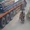 4 thanh niên thoát chết khi ngã xe máy nằm sát bên container
