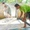 Bắc Ninh sau lũ lịch sử, khu công nghiệp lại sáng đèn, người dân chung tay dọn dẹp nhà cửa