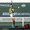 Mắt bầm, gãy hốc mắt, bong võng mạc, chấn thương mắt do pickleball tăng mạnh tại Mỹ