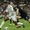 Real Madrid tiếp tục chuỗi thắng sát nút