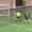 Cản phá được penalty, thủ môn lập tức báo hại đội nhà thủng lưới