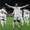 Các đại gia giải mã Champions League