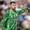 Thủ môn của Inter Milan lái xe tông chết ông lão 81 tuổi ngồi xe lăn