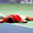 Djokovic nằm vật ra sân và phải đo huyết áp giữa trận đấu