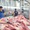 Doanh nghiệp muốn tăng giá thịt heo bình ổn