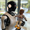 Robot Optimus của Tesla có nguy cơ chậm ra mắt vì Trung Quốc