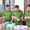 Phó thủ tướng yêu cầu Bộ Y tế và các địa phương có giải pháp ngăn ngừa thuốc giả