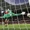 Thủ môn Onana hóa ‘bao cát’ cho fan Man Utd xả giận