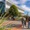 Toàn bộ đại học công lập New Zealand cùng tung chính sách đặc biệt cho ứng viên Việt