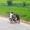 Chàng trai say rượu ngã nhào xuống ruộng lúa