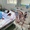 Khi người trẻ sống mòn vì suy thận