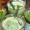 Matcha bỗng nhiên mà phủ sóng
