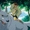 Ghibli đã nâng tầm nữ quyền trong anime của mình như thế nào?