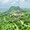 Xuân Trường đề xuất đầu tư sân bay để đưa Ninh Bình thành 'trung tâm du lịch cả nước'