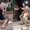 Cười sảng với hai cô gái đu trend 'người ngựa' trên TikTok