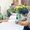 Xử phạt người đăng tin sai sự thật về cải tạo vườn hoa Diên Hồng - đài phun nước Con Cóc