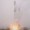 SpaceX đưa tro cốt người lên vũ trụ