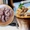 Cà phê lòng heo: Thảm họa ẩm thực, thuốc xổ