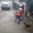 Shipper hú hồn với 'chó nhà em ngoan lắm, không cắn ai đâu'